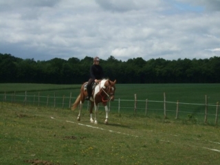 Clases de equitacion